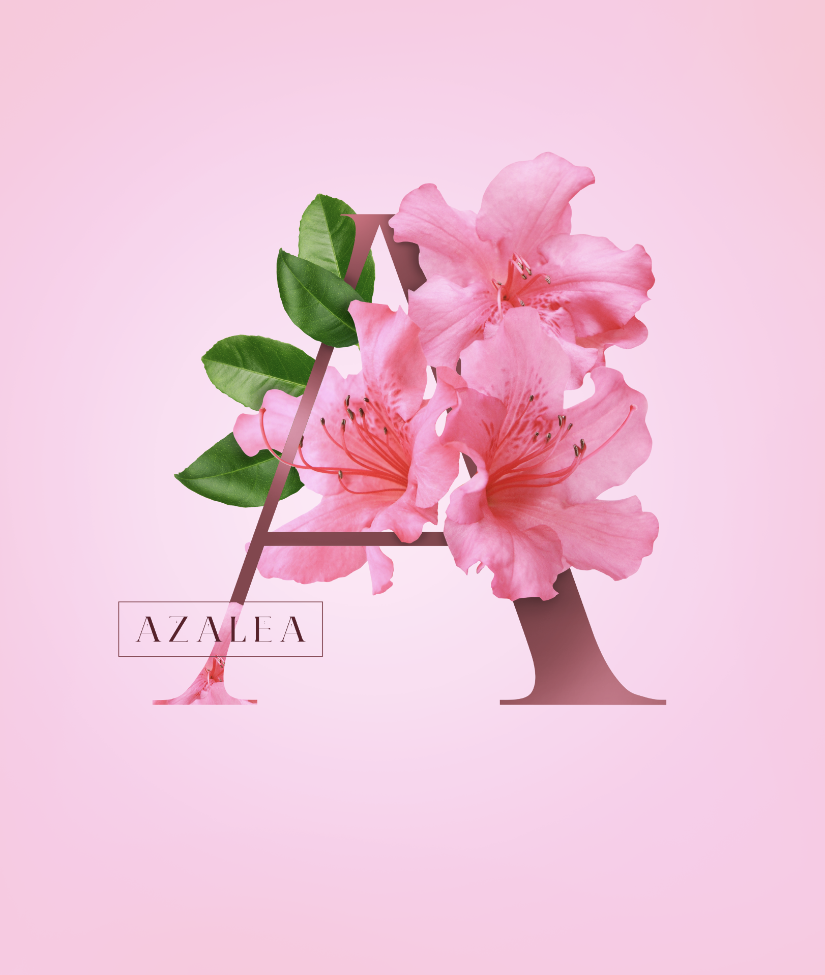 azalea