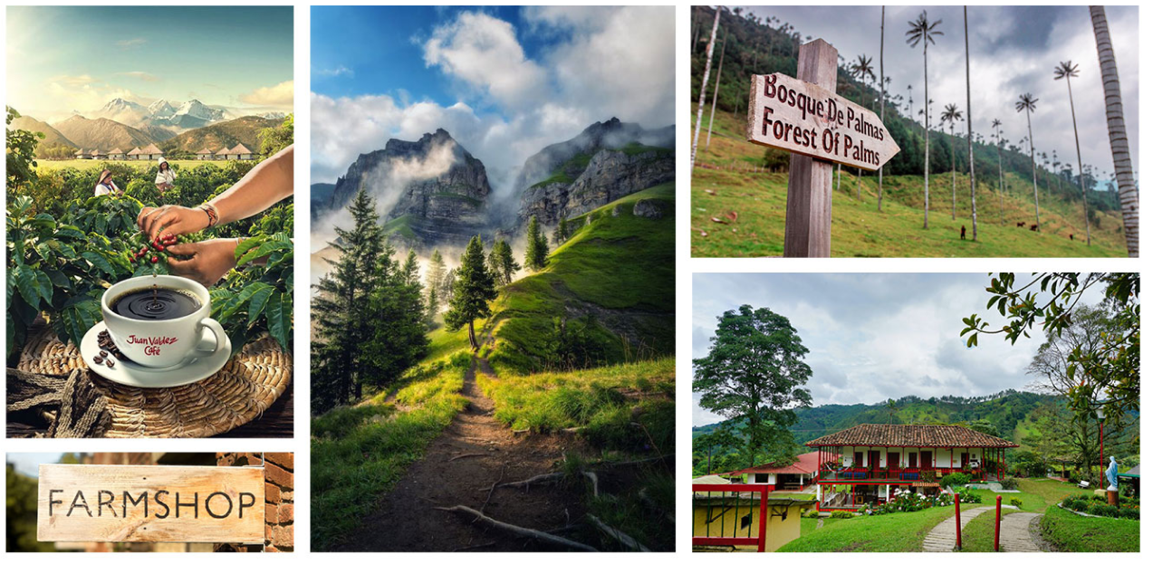 moodboard-DTV 1